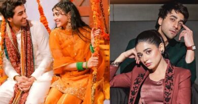 Aik Aur Pakeezah Drama Cast Name