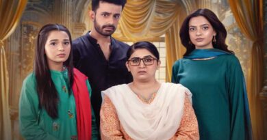 daam e mohabbat 2026 drama cast