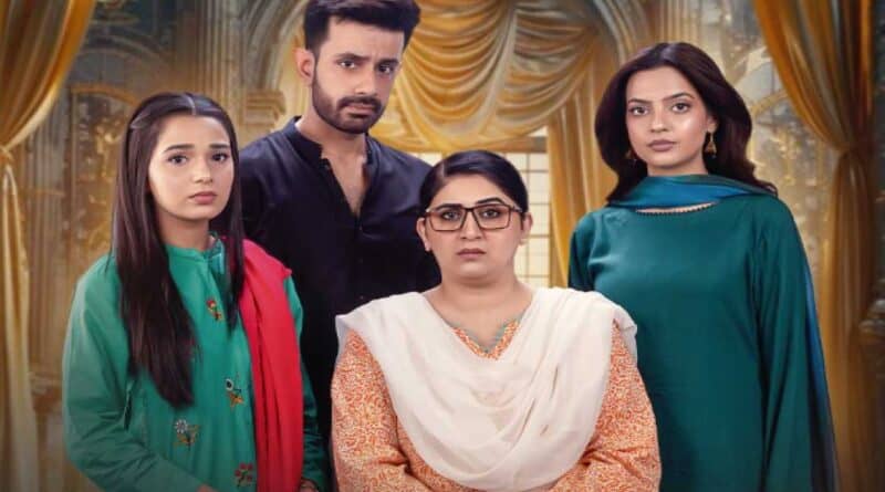 daam e mohabbat 2026 drama cast