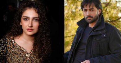 Humrahi Drama OST Lyrics