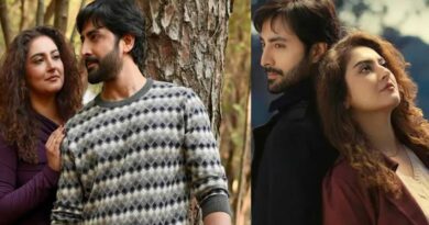 humrahi pakistani drama cast