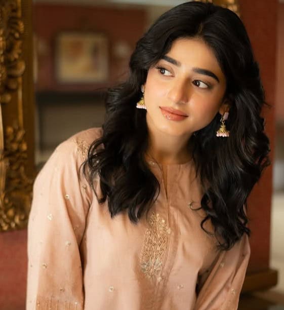 Aik Aur Pakeezah Drama Cast Name
